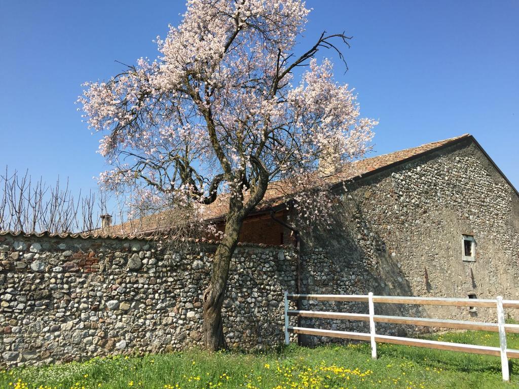 לינה וארוחת בוקר לונאטו Antico Cascinale Lombardo מראה חיצוני תמונה